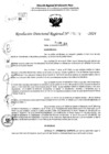 Vista preliminar de documento RDR 5292-2024