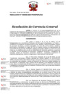 Vista preliminar de documento Resolución de Gerencia General Nro 039-2024-PROMPERÚ/GG