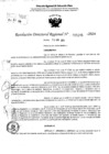 Vista preliminar de documento RDR 5295-2024