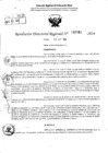Vista preliminar de documento RDR 5560-2024