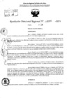 Vista preliminar de documento RDR 5561-2024