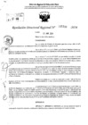 Vista preliminar de documento RDR 5300-2024