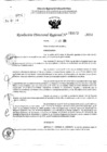 Vista preliminar de documento RDR 5572-2024