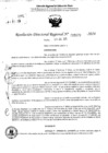 Vista preliminar de documento RDR 5573-2024