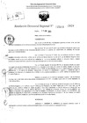 Vista preliminar de documento RDR 5303-2024
