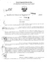 Vista preliminar de documento RDR 2846-2024