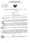 Vista preliminar de documento RDR 5582-2024