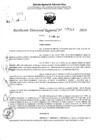 Vista preliminar de documento RDR 5313-2024