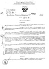Vista preliminar de documento RDR 2848-2024