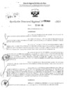 Vista preliminar de documento RDR 2849-2024