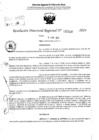 Vista preliminar de documento RDR 5314-2024