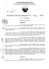 Vista preliminar de documento RDR 5317-2024