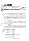 Vista preliminar de documento RDR 3972-2024