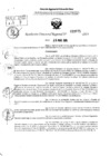 Vista preliminar de documento RDR 3975-2024
