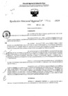 Vista preliminar de documento RDR 5101-2024