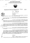 Vista preliminar de documento RDR 5102-2024
