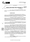Vista preliminar de documento RDR 5596-2024