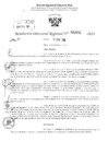 Vista preliminar de documento RDR 2852-2024