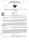 Vista preliminar de documento RDR 5104-2024
