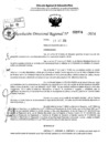 Vista preliminar de documento RDR 3994-2024