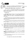 Vista preliminar de documento RDR 5599-2024