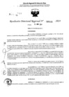 Vista preliminar de documento RDR 5331-2024