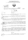 Vista preliminar de documento RDR 2857-2024