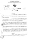 Vista preliminar de documento RDR 2859-2024