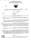 Vista preliminar de documento RDR 5108-2024
