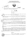 Vista preliminar de documento RDR 2861-2024