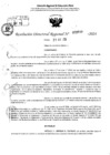 Vista preliminar de documento RDR 3999-2024