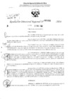 Vista preliminar de documento RDR 2862-2024