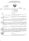 Vista preliminar de documento RDR 2863-2024