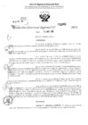 Vista preliminar de documento RDR 2865-2024