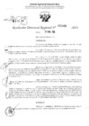 Vista preliminar de documento RDR 2866-2024