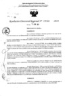 Vista preliminar de documento RDR 5333-2024