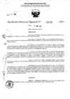 Vista preliminar de documento RDR 5335-2024