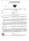 Vista preliminar de documento RDR 5110-2024