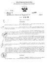 Vista preliminar de documento RDR 2868-2024