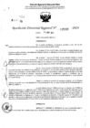 Vista preliminar de documento RDR 5339-2024