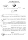 Vista preliminar de documento RDR 2869-2024