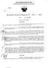 Vista preliminar de documento RDR 4129-2024