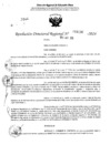Vista preliminar de documento RDR 4130-2024