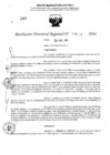 Vista preliminar de documento RDR 4132-2024
