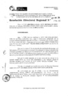 Vista preliminar de documento RDR 4133-2024