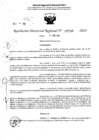 Vista preliminar de documento RDR 5341-2024