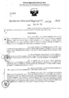 Vista preliminar de documento RDR 4136-2024