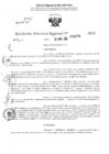 Vista preliminar de documento RDR 2874-2024