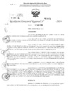 Vista preliminar de documento RDR 2875-2024