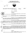 Vista preliminar de documento RDR 5345-2024